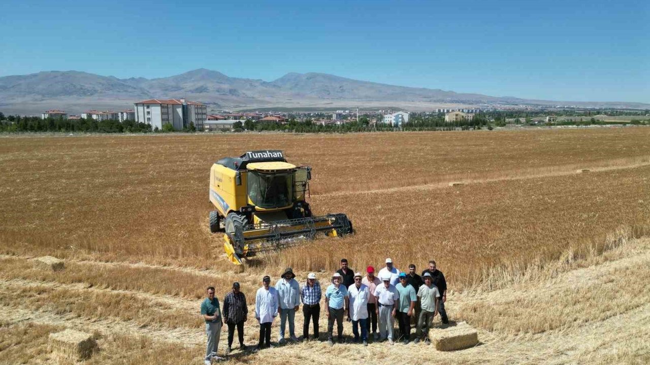 NÖHÜ’de 300 dekar arazide arpa ve buğday hasadı başladı