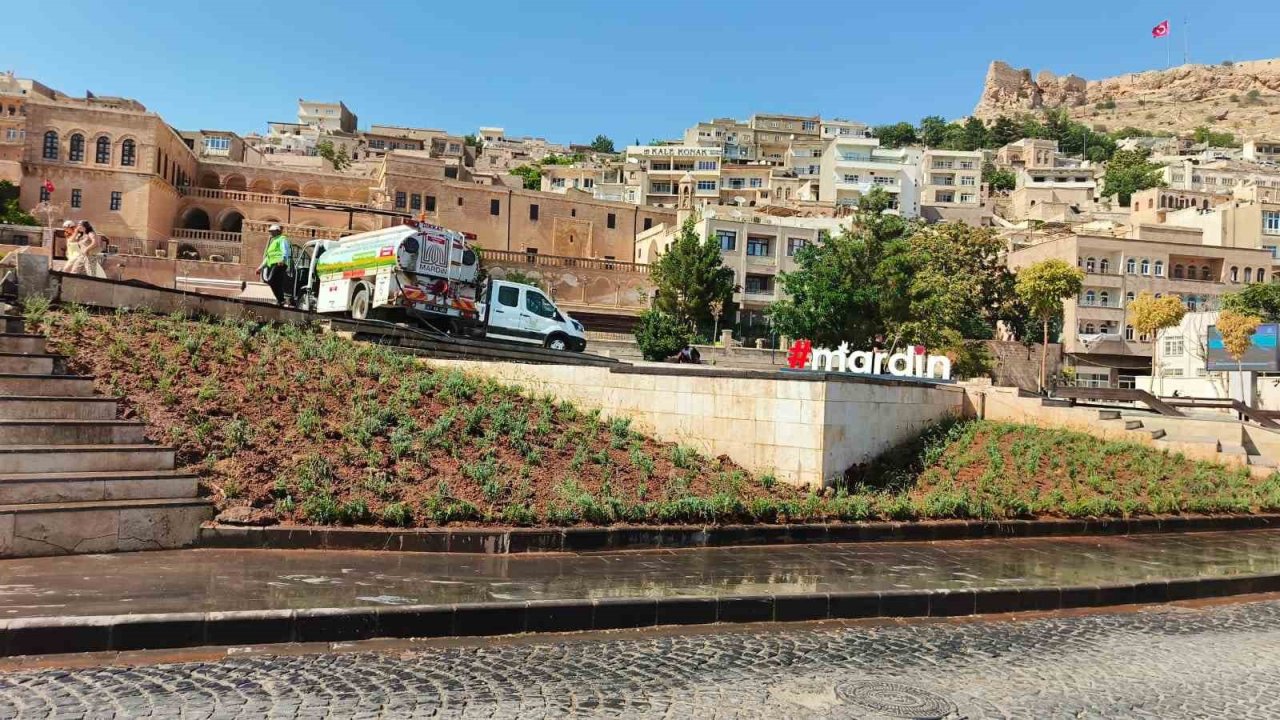 Artuklu ve Cumhuriyet Meydanı lavanta ile renklendi