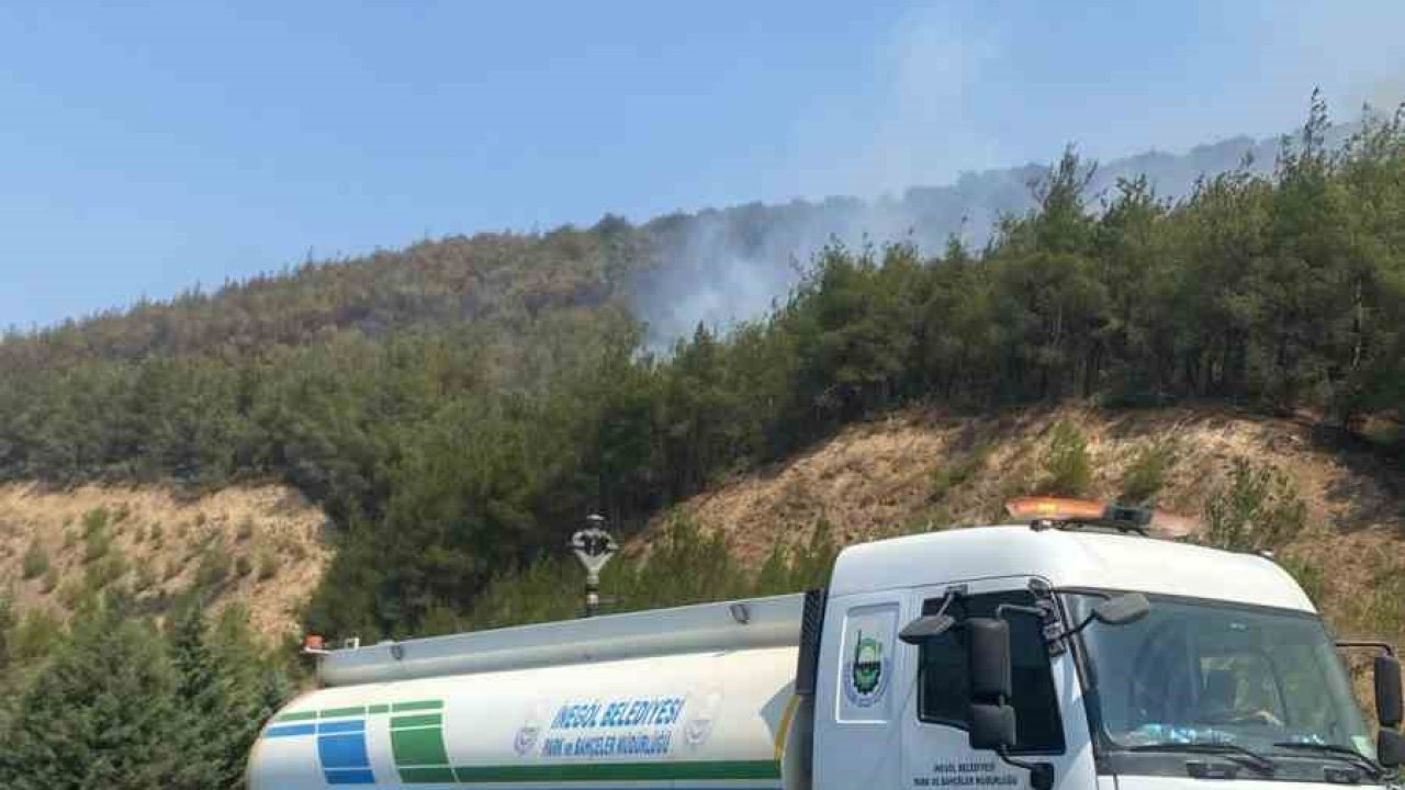 İnegöl Belediyesi, yangın bölgesine destek için harekete geçti