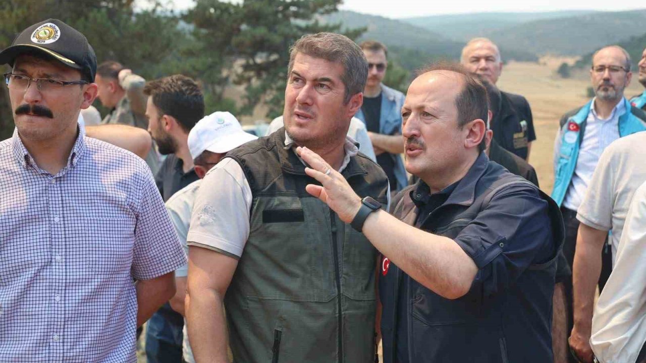 AFAD: "Yangınlara karşı mücadele kapsamında 4 bin 231 personel, 45 hava aracı ve bin 236 kara aracı görev yapmaktadır"