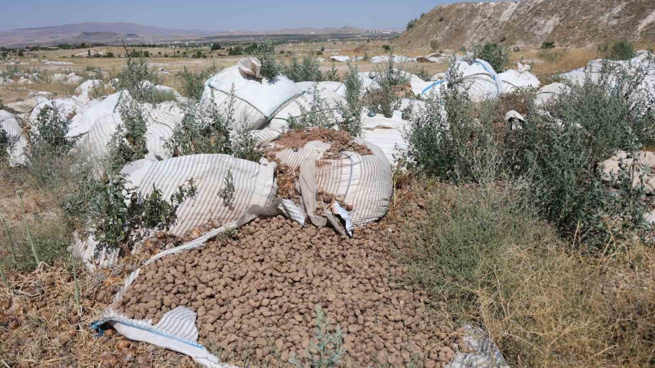 Kapadokya’da valiliğin uyarısını dinleyen olmadı