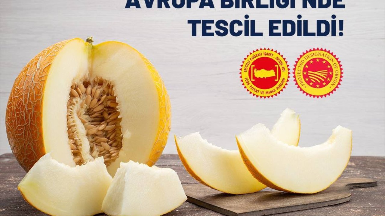 Mut zeytinyağı ve Kırkağaç kavununa AB’den coğrafi işaret tescili