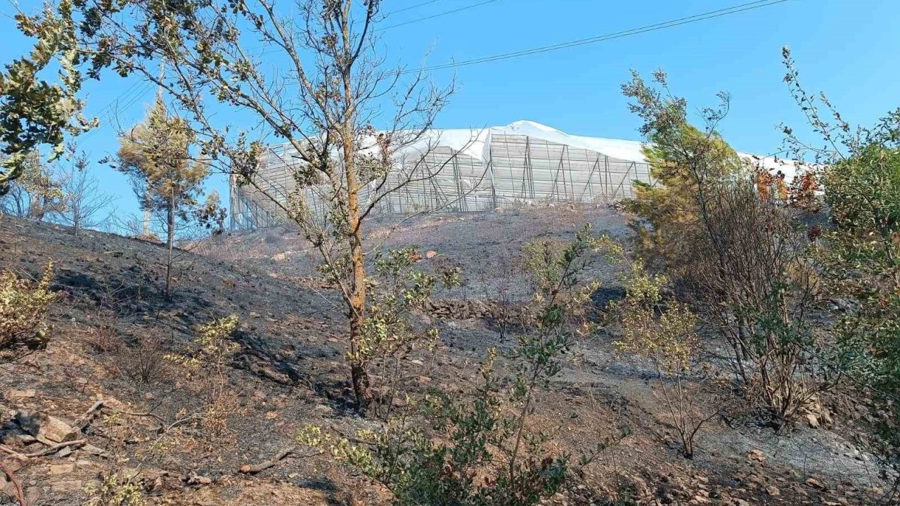 Alanya’da makilik alanda çıkan yangın kısa sürede kontrol altına alındı