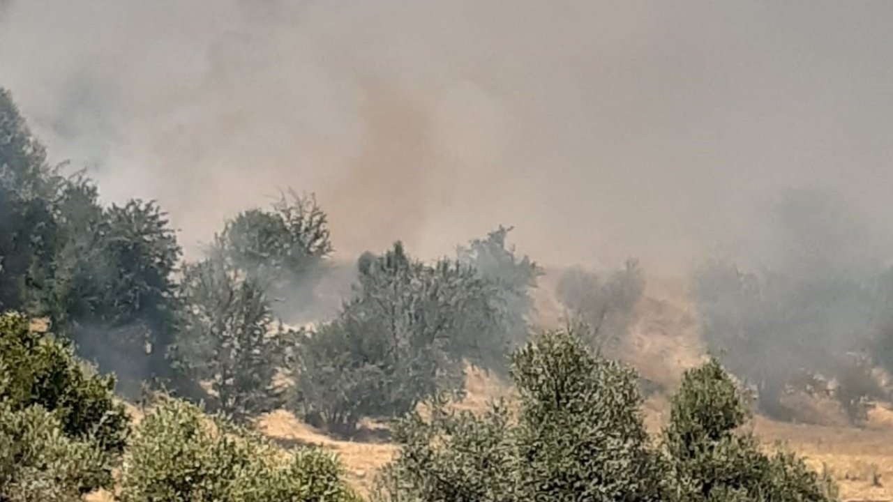 Tunceli’de çıkan yangın büyük ölçüde söndürüldü
