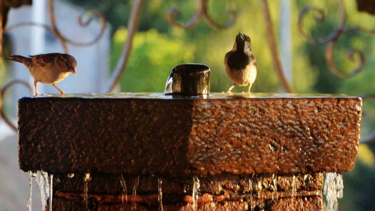 Erzurum ve çevresi için kavurucu sıcaklık uyarısı