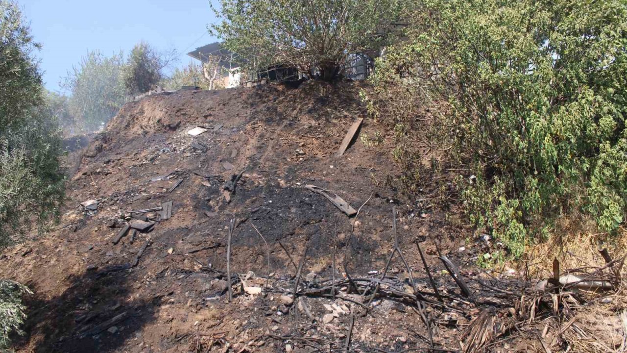 Alevler, evlere ulaşmadan söndürüldü