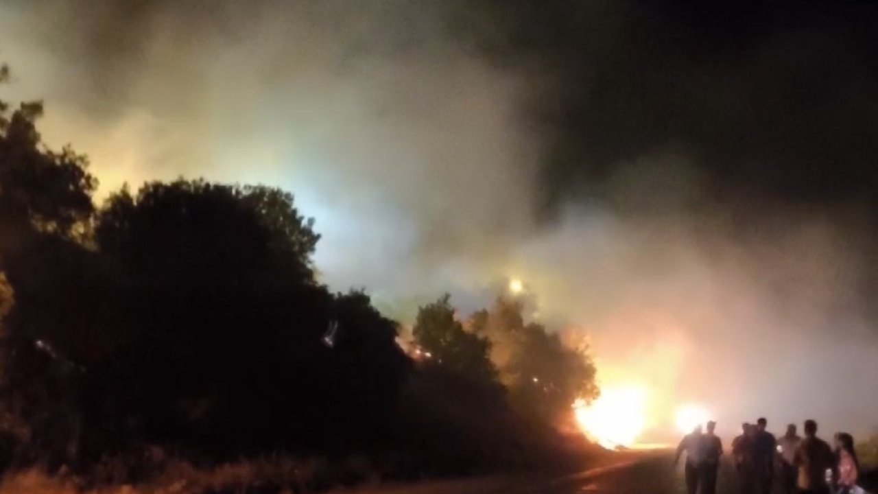 Hakkari-Çukurca karayolu üzerinde orman yangını çıktı