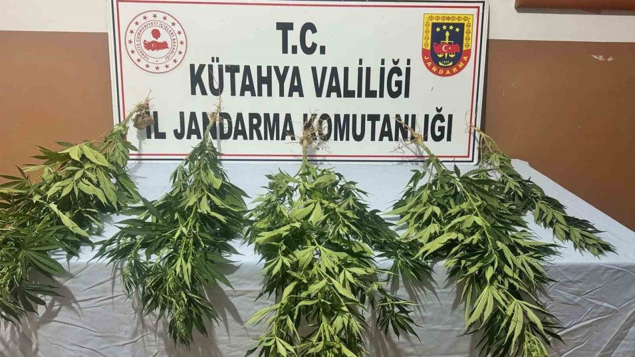 Kütahya’da jandarmadan uyuşturucu operasyonu: 2 gözaltı