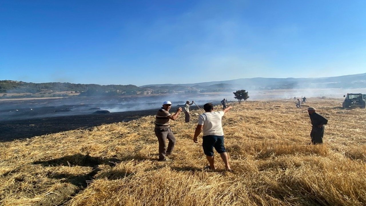 Sinop’ta anız yangını: 60 balya saman kül oldu