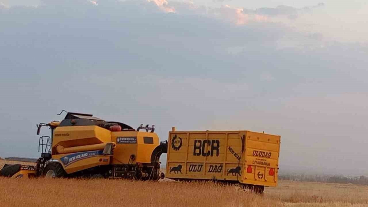 Patnosta buğday hasadı başladı