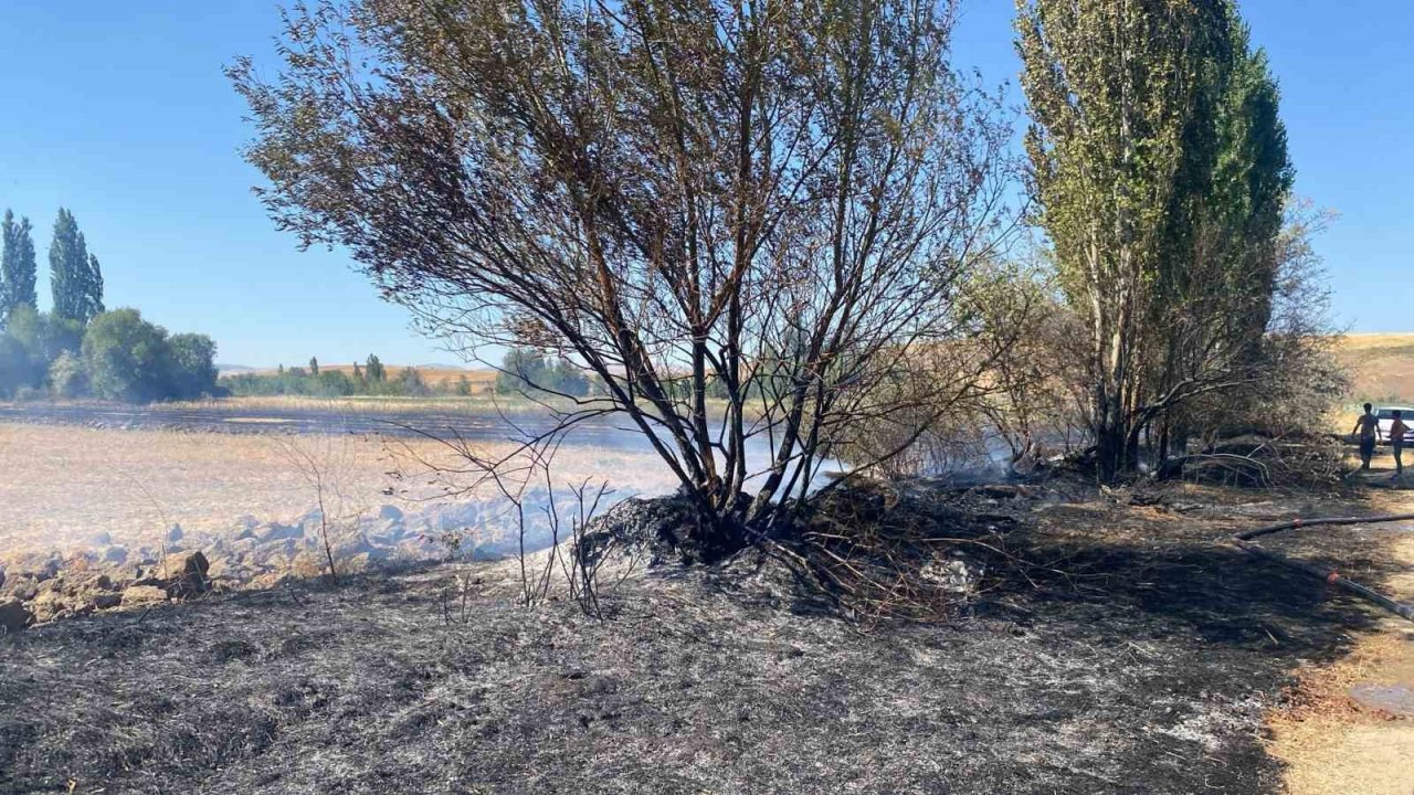 Alaca’da anız yangını: 5 dönüm arazi zarar gördü