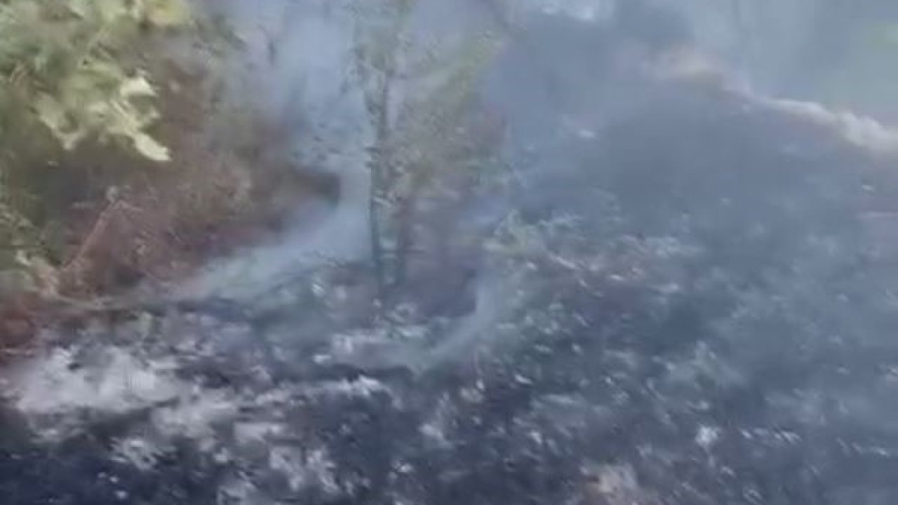 Datça’da kuru ot yangını korkuttu