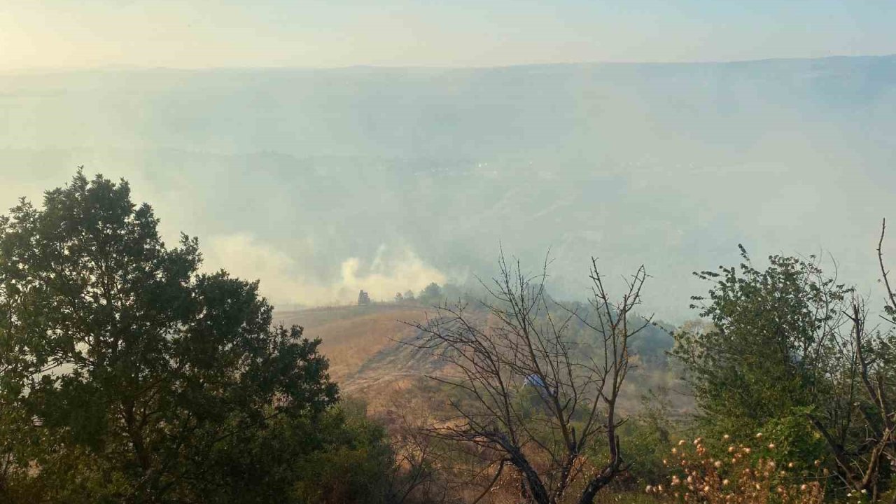 Kocaeli’nin farklı noktalarında aynı anda çıkan yangınlara müdahale sürüyor