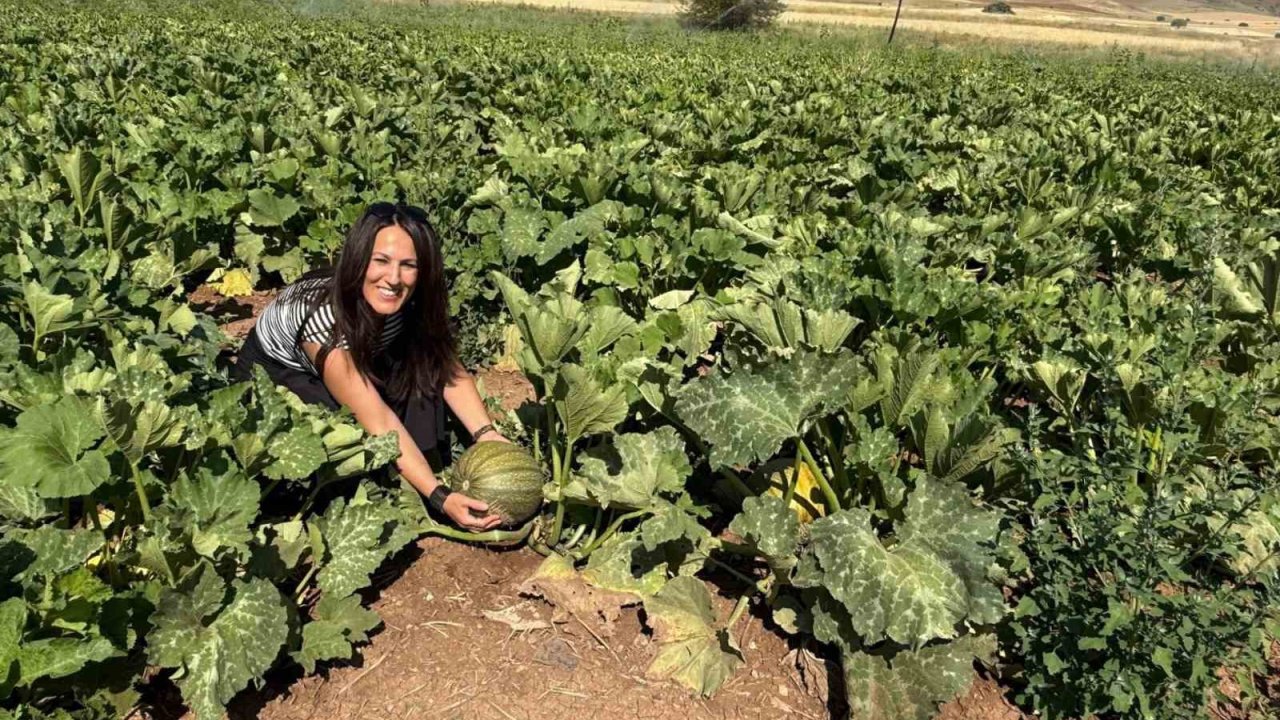 Tercan’da çerezlik kabak üretimi yaygınlaşıyor