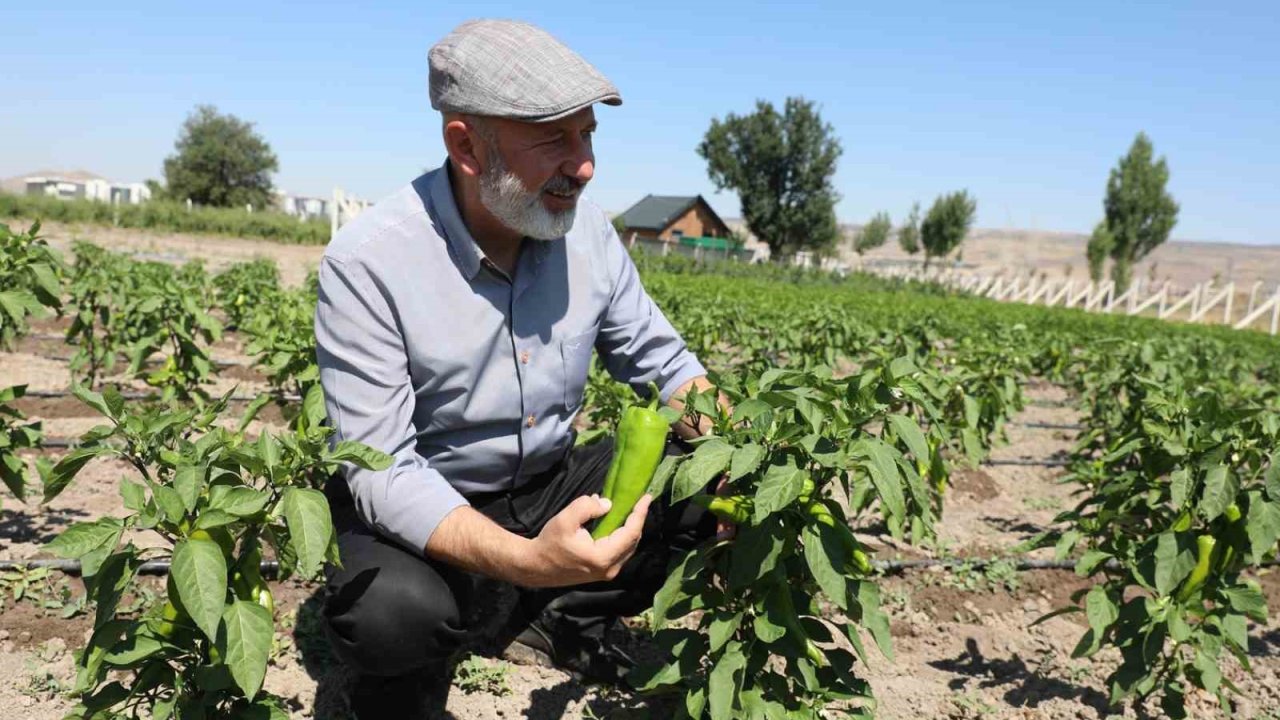 Başkan Çolakbayrakdar: Ata tohumlarımızı yaşatıyor, geleceğe taşıyoruz"