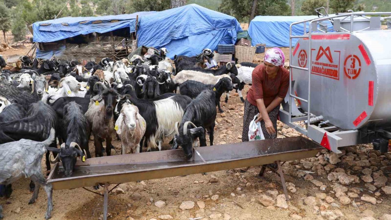Belediyenin sulama tankeri desteği Mersin’deki Yörüklerin yüzünü güldürdü