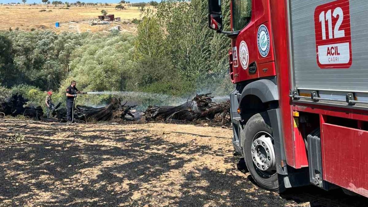 Ekin yangınına itfaiye ekipleri müdahale etti