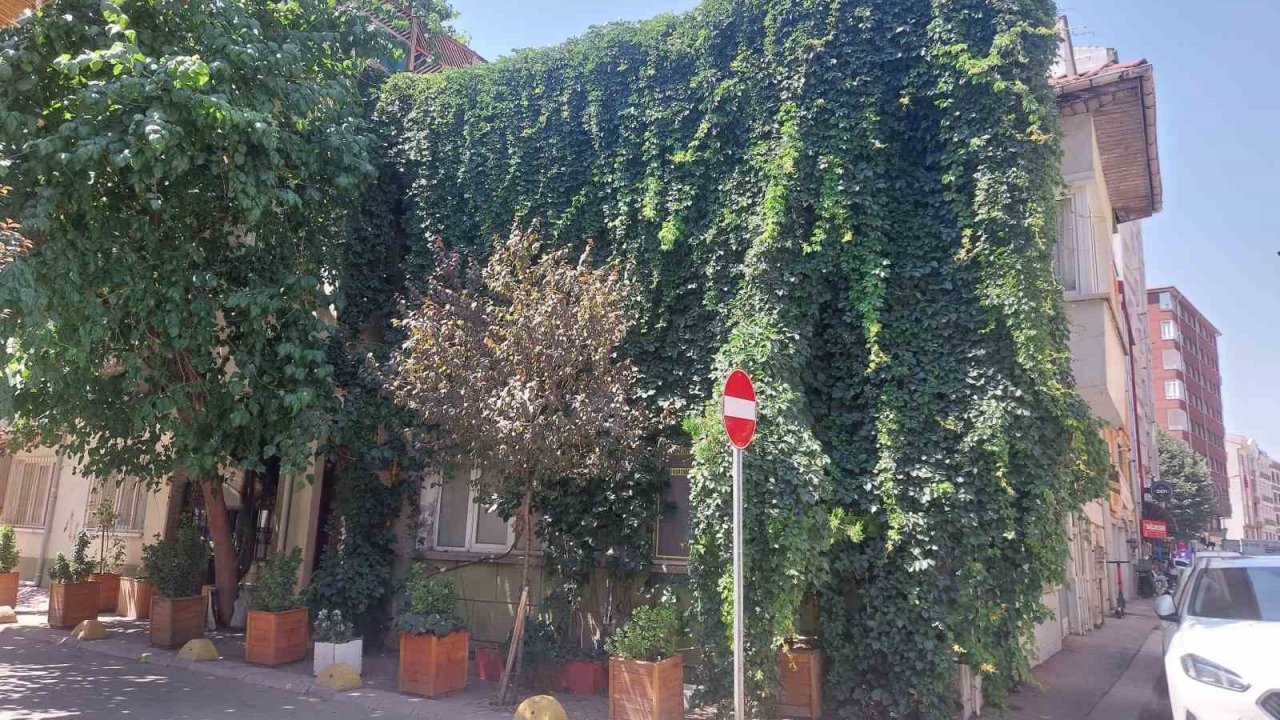 Eskişehir’de doğa, evle bütünleşti