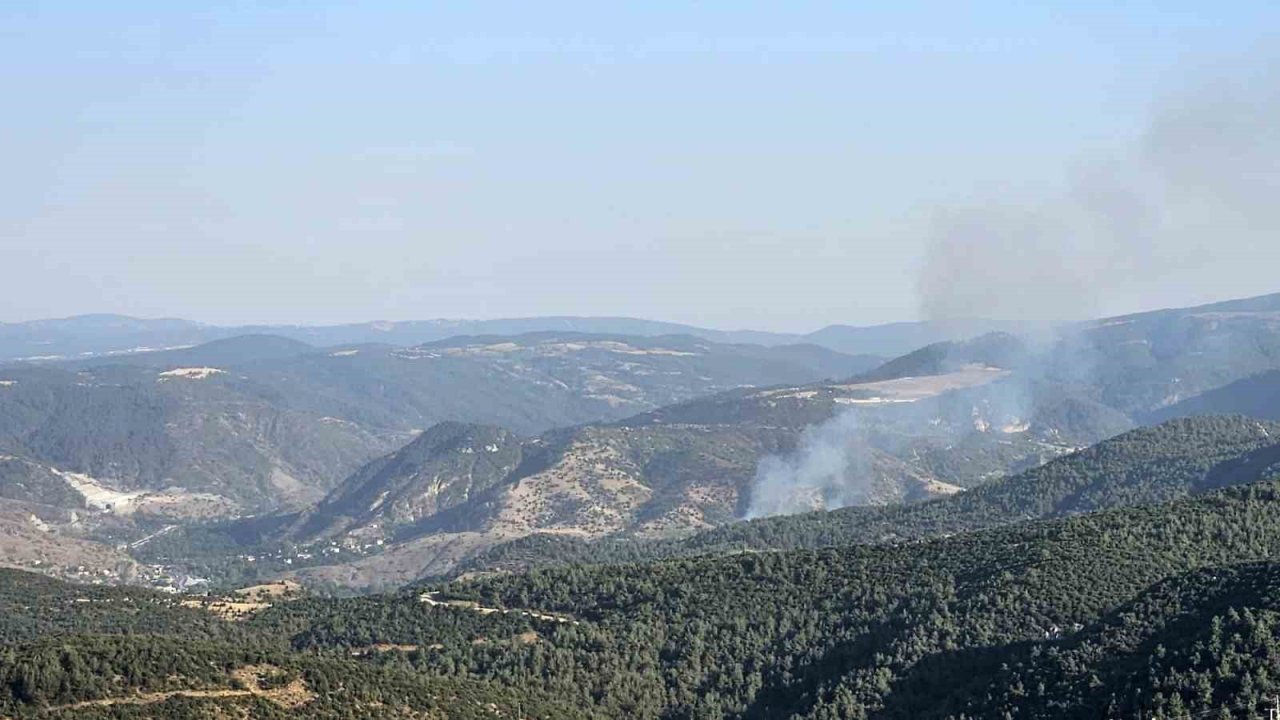 Bilecik’te çıkan orman yangını kontrol altına alındı