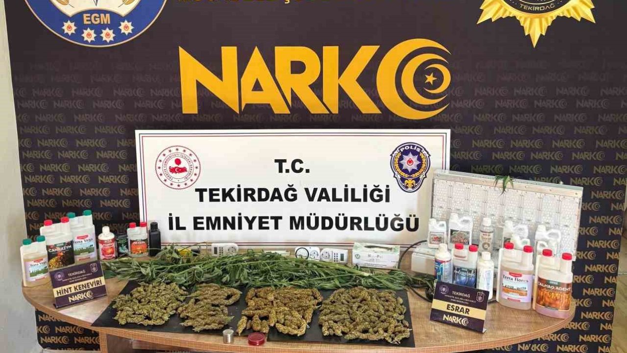 Tekirdağ’da uyuşturucu operasyonu: Esrar ve kenevir ele geçirildi