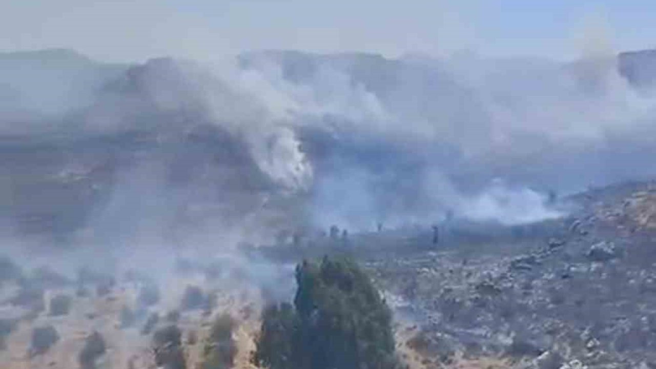 Bodrum’da otluk alanda çıkan yangın kısa sürede kontrol altına alındı