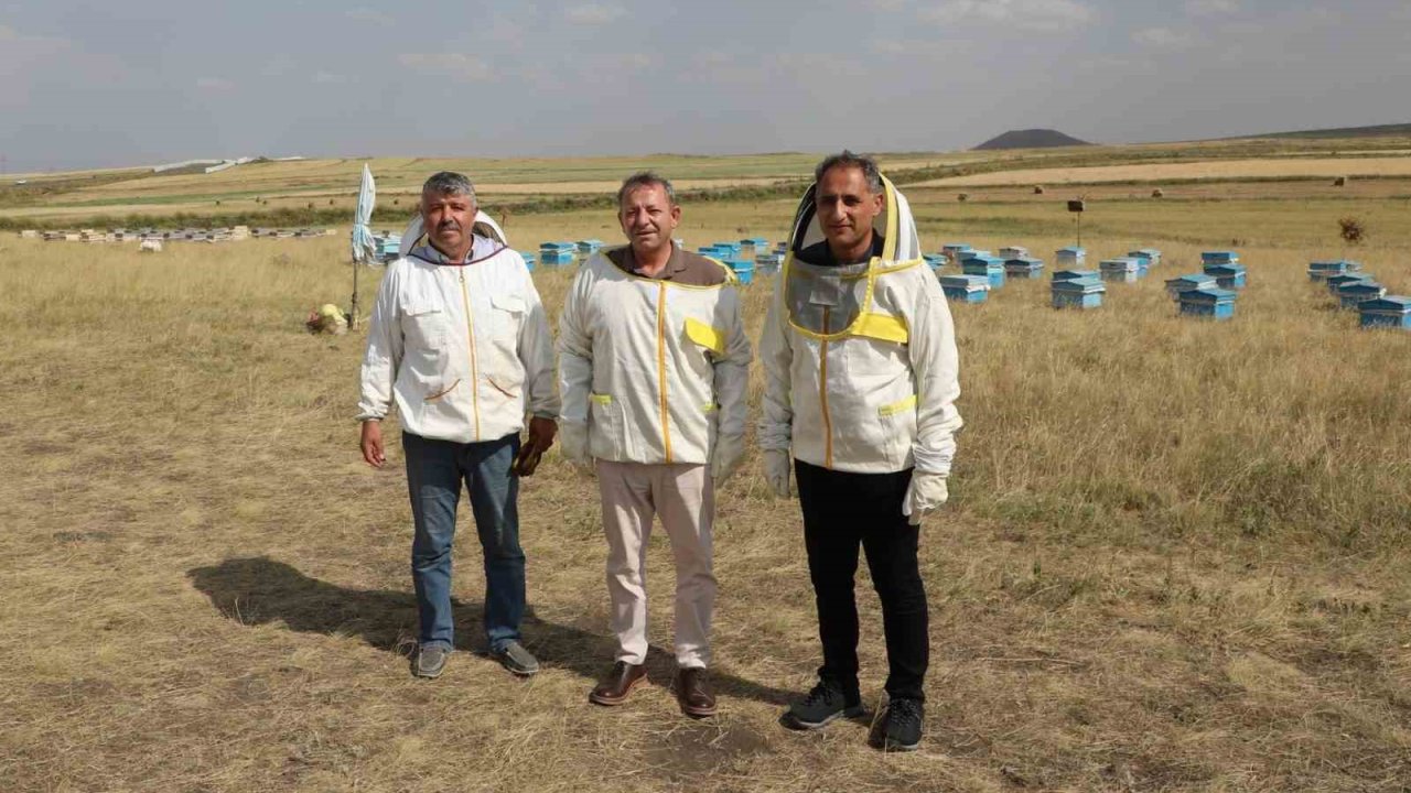 Kars’ta 2025 yılında bin 800 ton bal rekoltesi beklentisi