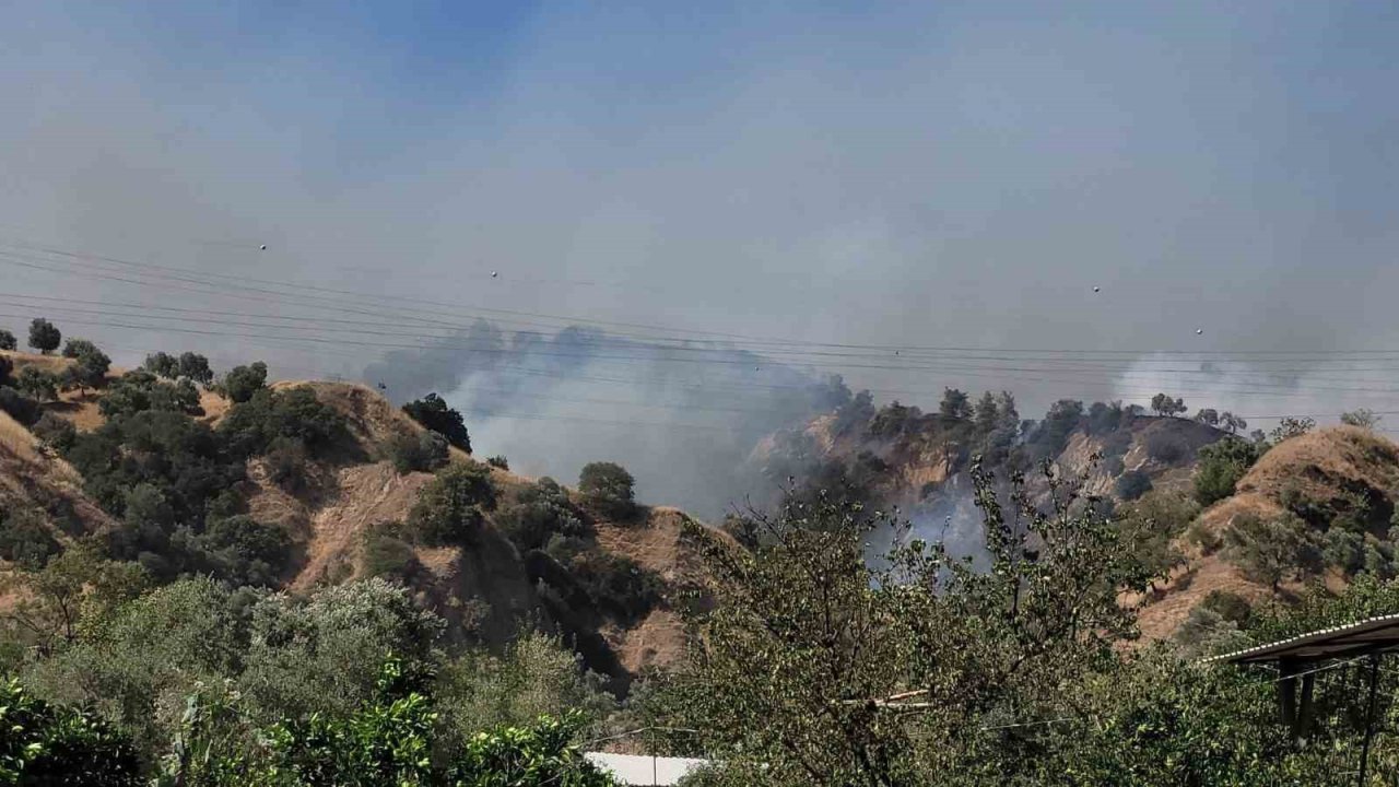 Aydın Valisi Canbolat: "Ekipler çevreyi sardı, kısa sürede kontrol altına alacağız"