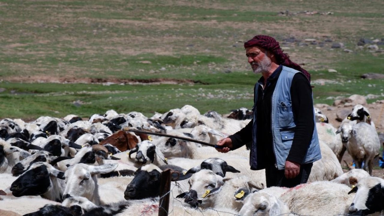 Yetiştiricilere 127,7 milyon TL kredi desteği