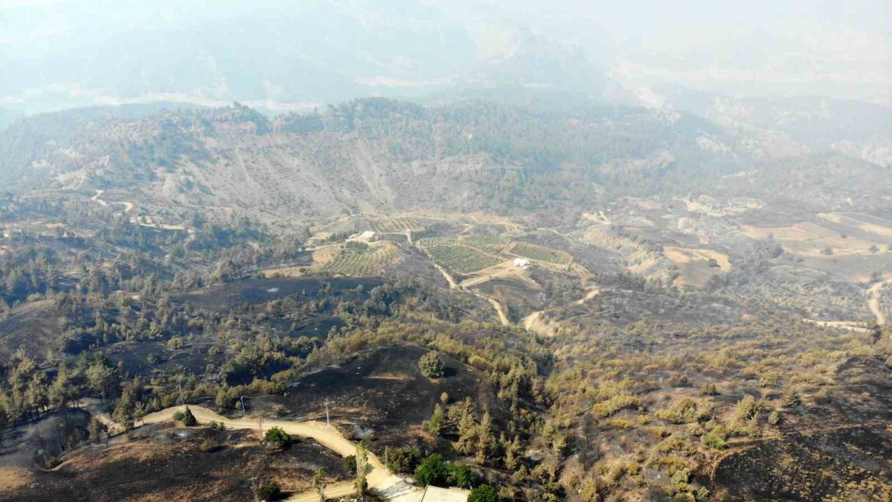 Kahramanmaraş’ta orman yangınına müdahale 3’üncü gününde de sürüyor