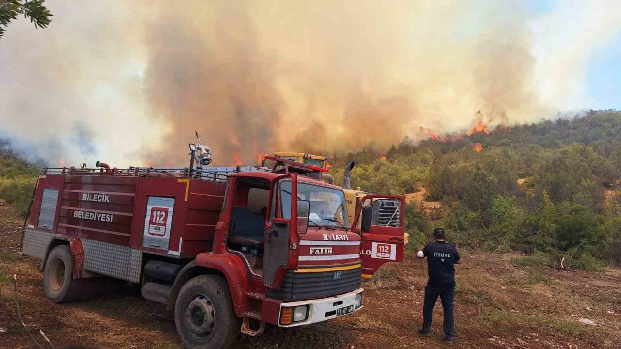 Orman yangınlarında var gücüyle çalışan itfaiyeciler hayvanlara da büyük şefkat gösteriyor