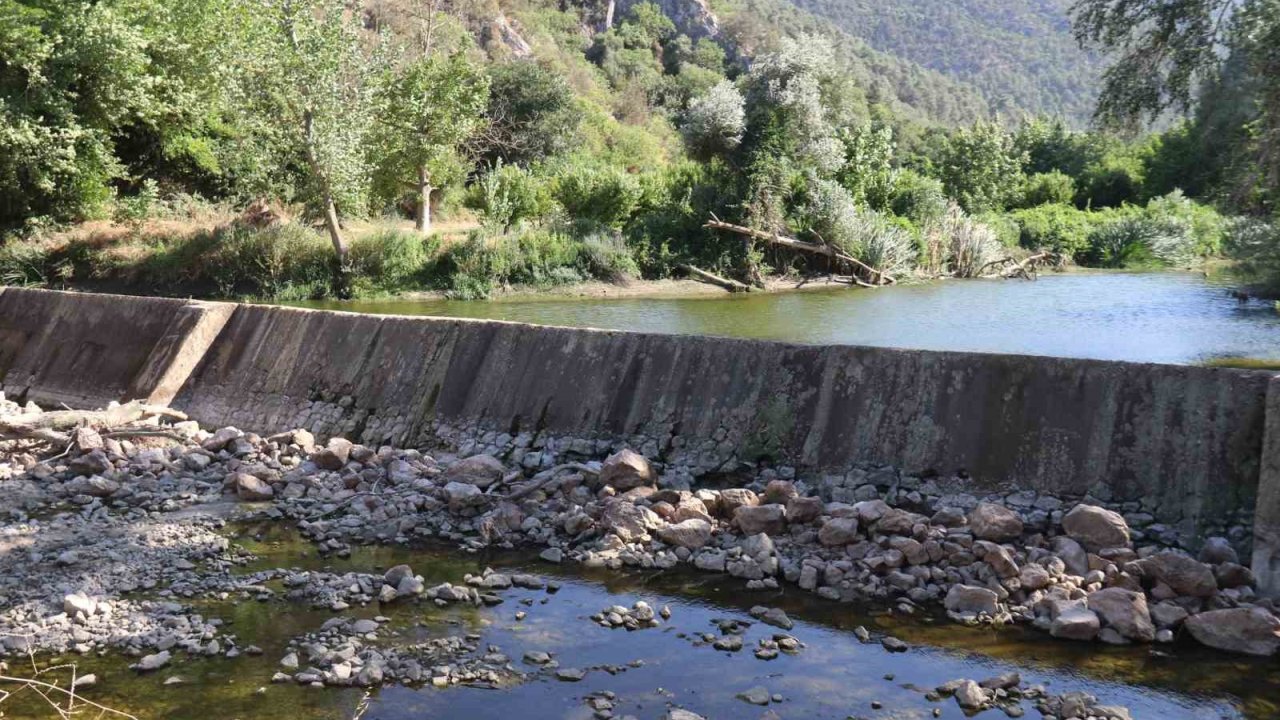 Kuraklık ve orman yangınları Düzmeşe Benti’nin adeta kuruttu