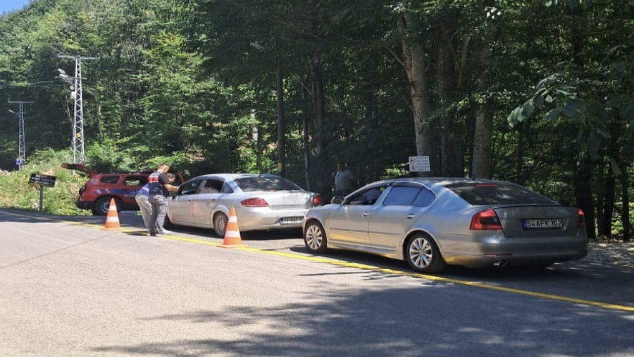 Sakarya’da mesire yerleri ve yayla yollarına sıkı denetim