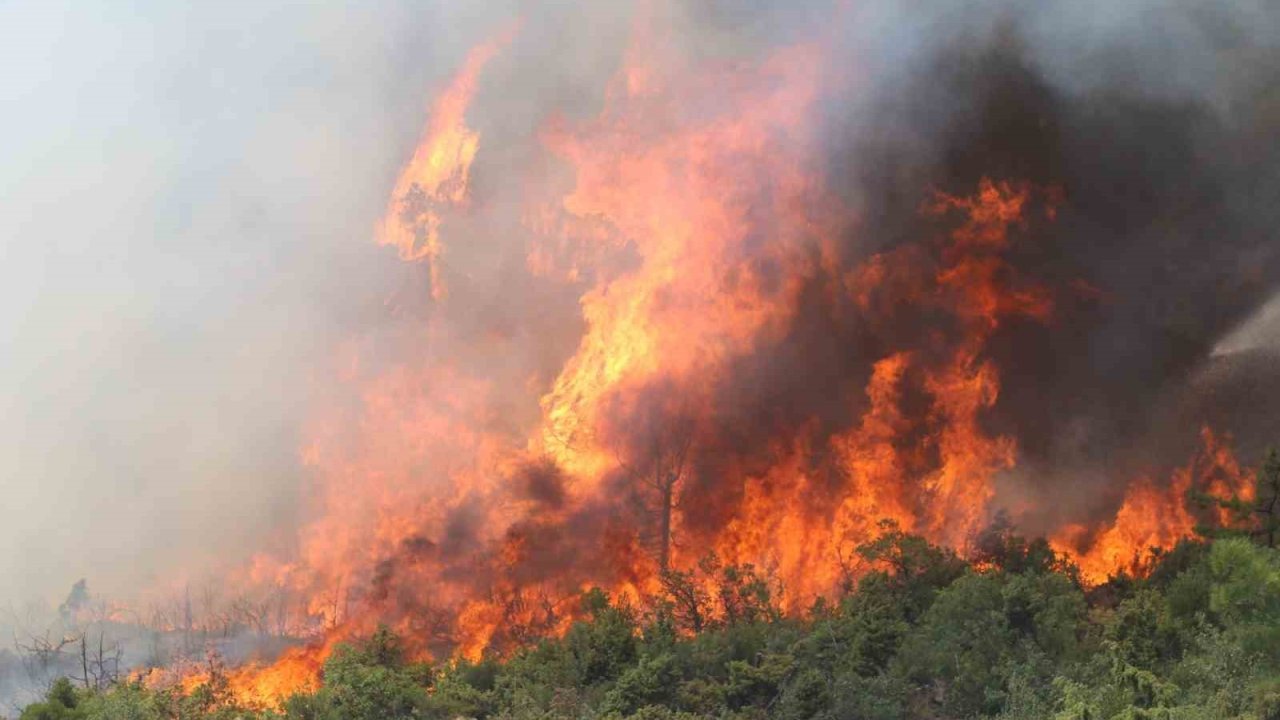 Bursa’da alevler tekrar yükseldi