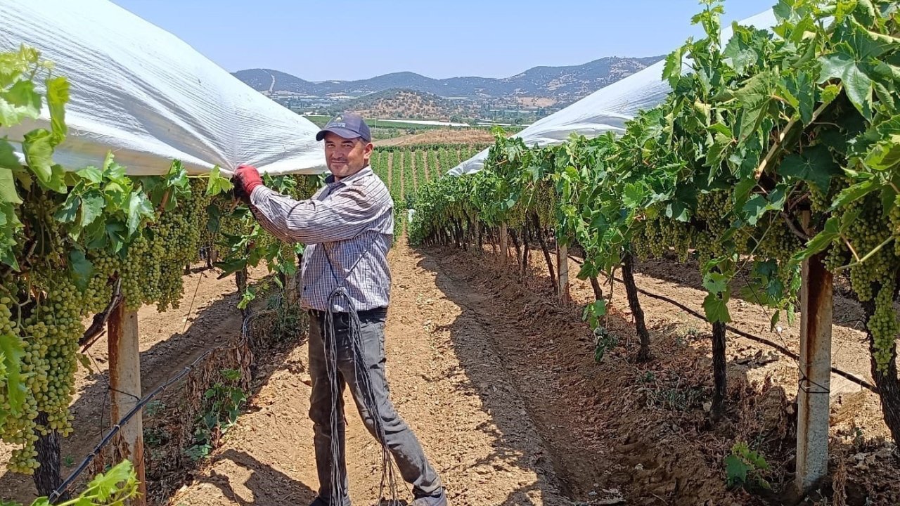 Örtücülerin kavurucu sıcaklarla zorlu mesaisi