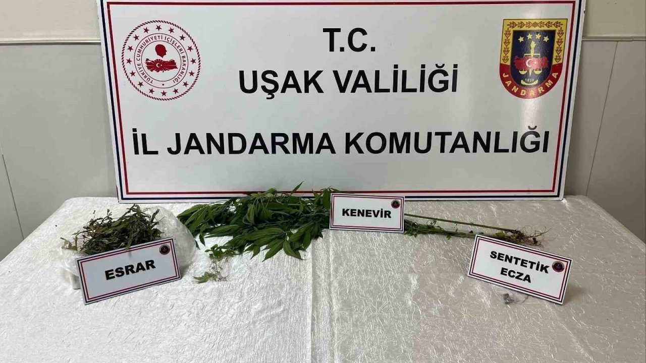 Uşak’ta jandarma ekiplerince uyuşturucu operasyonu