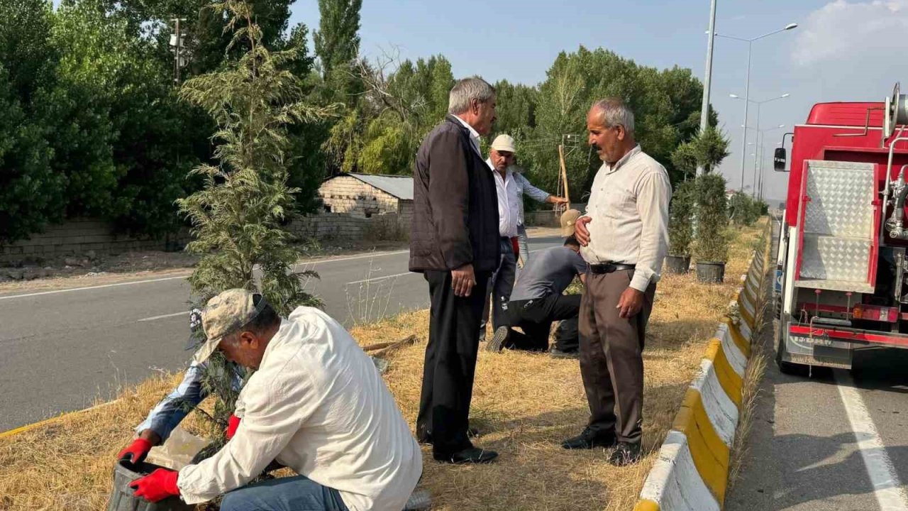 Patnos’ta yeşil alan çalışmaları sürüyor