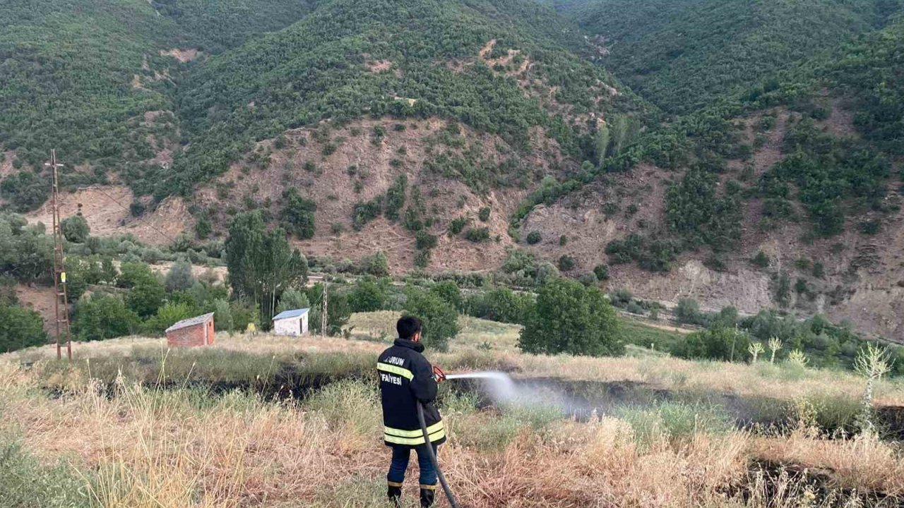 Bingöl’de çıkan örtü yangını söndürüldü