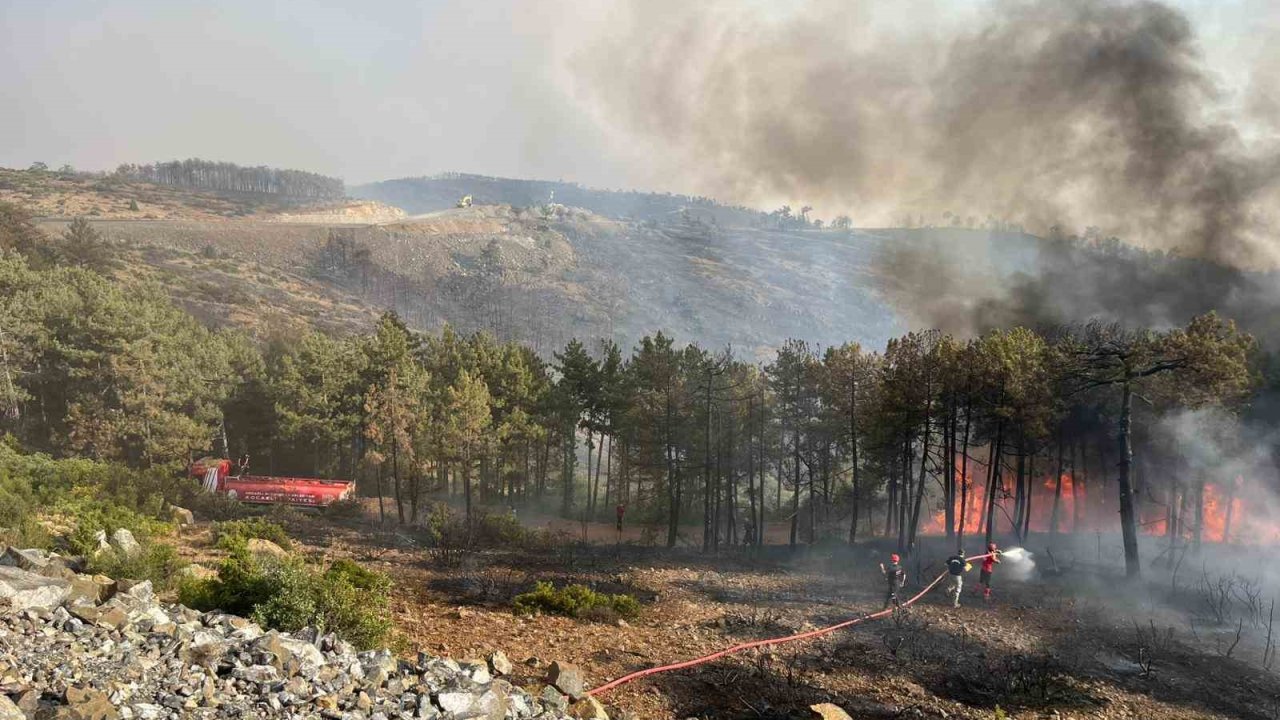Kocaeli’den Bursa’daki orman yangınına söndürme desteği