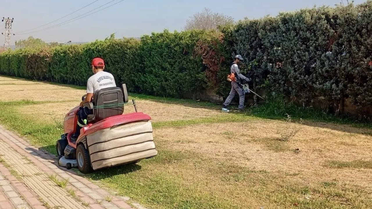 Körfez’de yeşil alanlarda bakım ve çim biçme çalışması