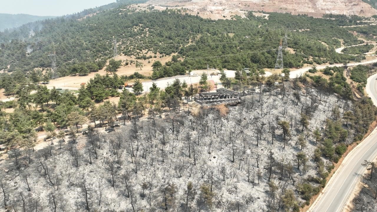 Tarihinin en büyük Gürsu yangınından yürek burkan bu manzaralar kaldı