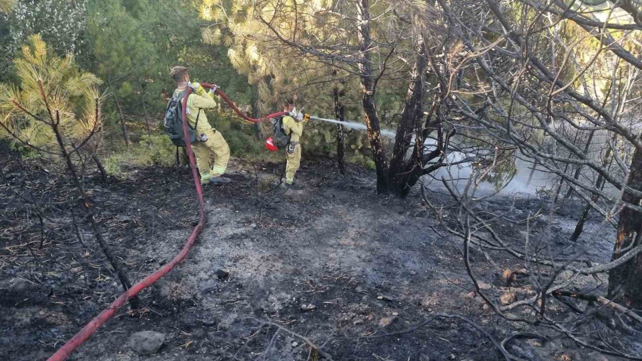 Kütahyalı öğrenciler yangınlarla mücadelede görev başında