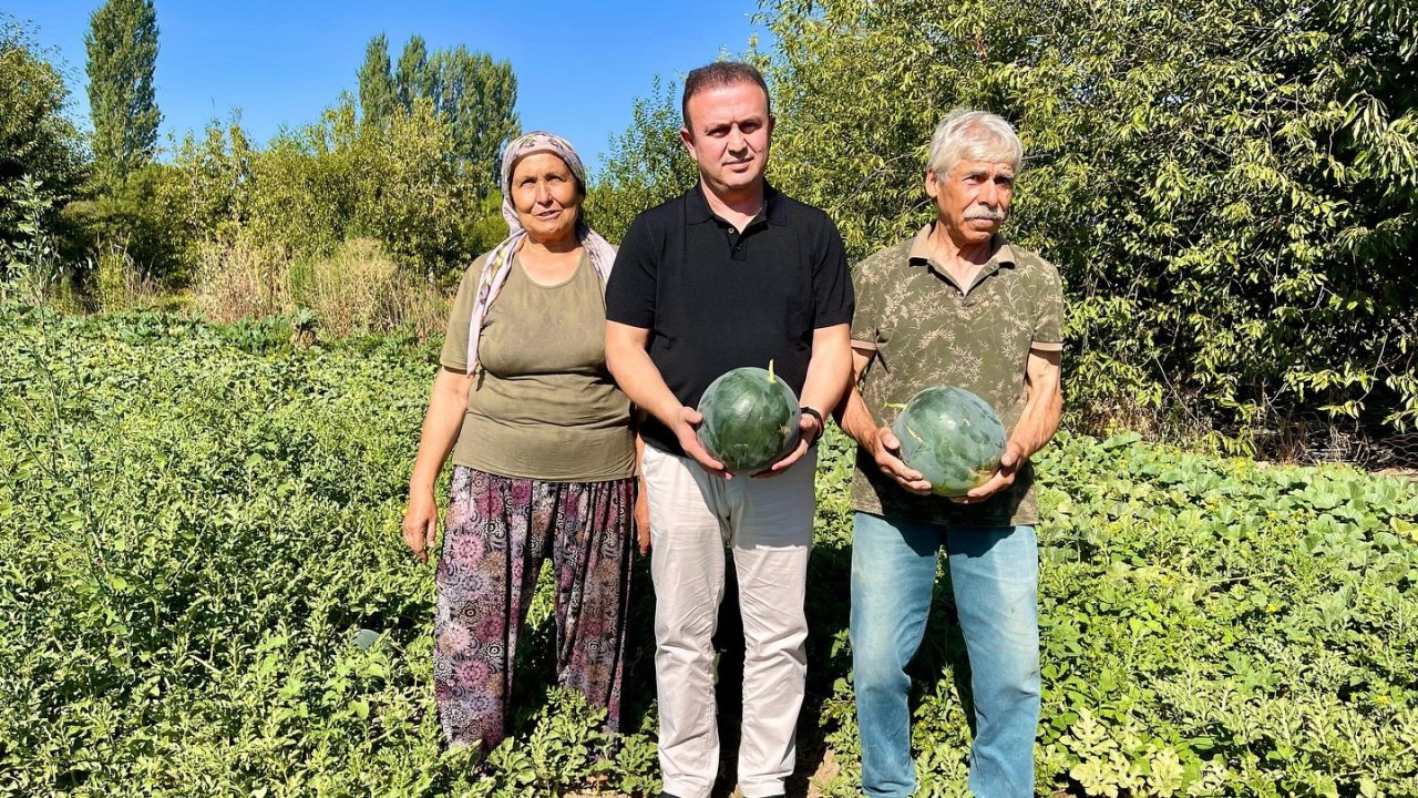 Karabağlar Yaylası’nda tarımsal projeler yerinde incelendi