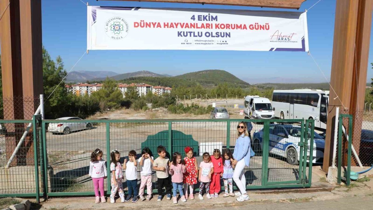 Büyükşehir Geçici Hayvan Bakımevi’nden 3 bin 779 can dosta yeni yuva