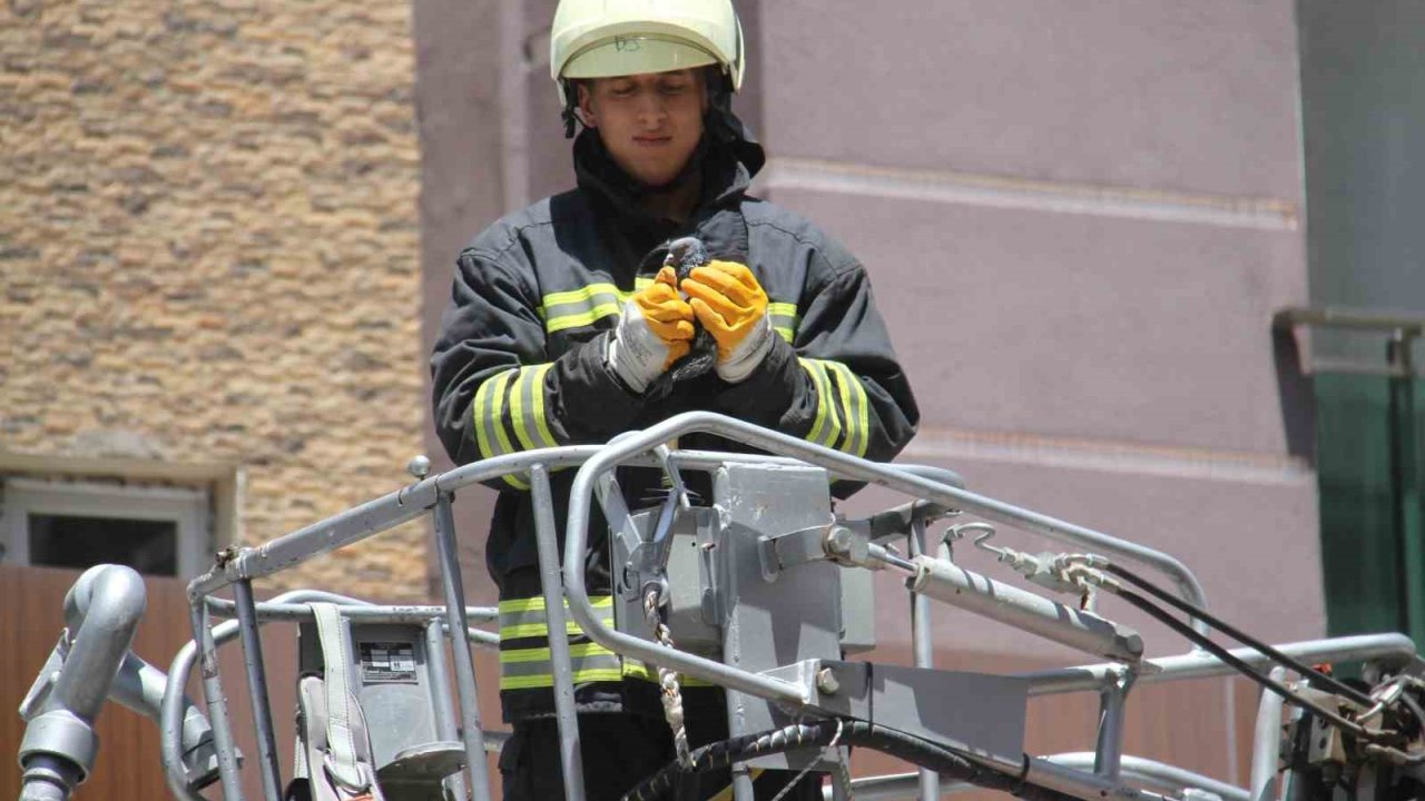 Beyşehir’de itfaiyeden güvercin kurtarma operasyonu
