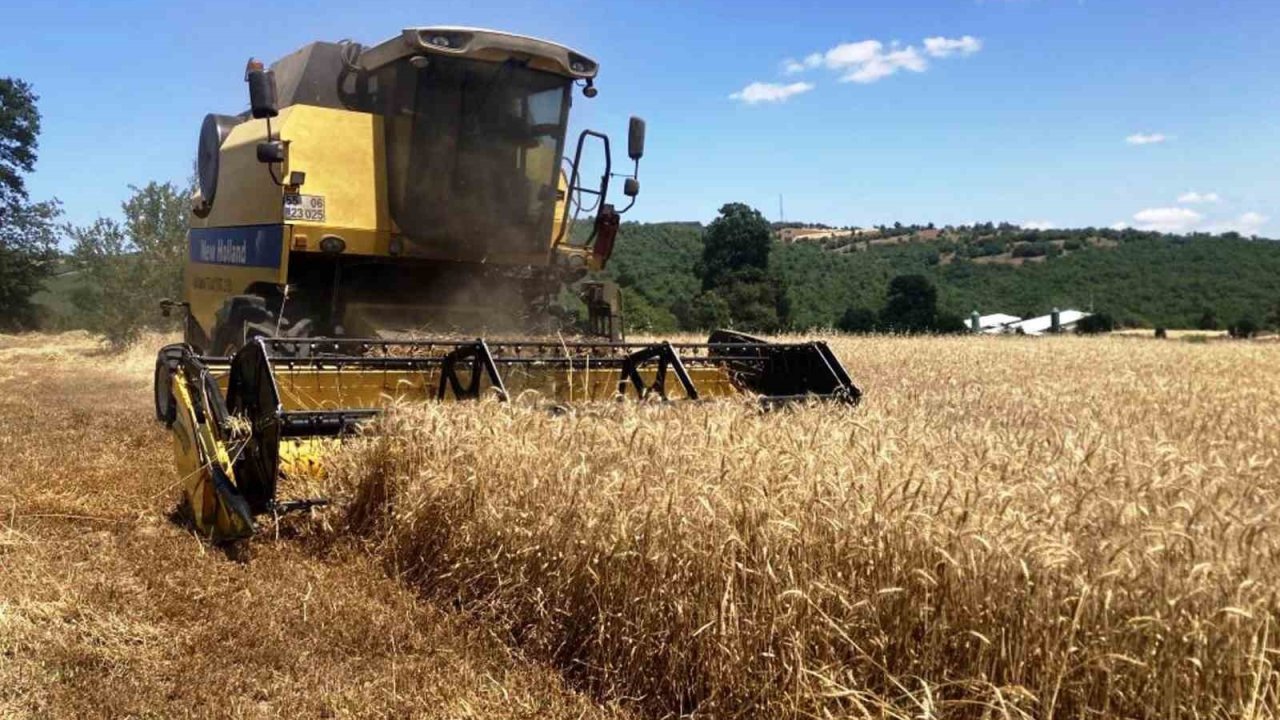 Samsun bitkisel üretimde hedef büyüttü