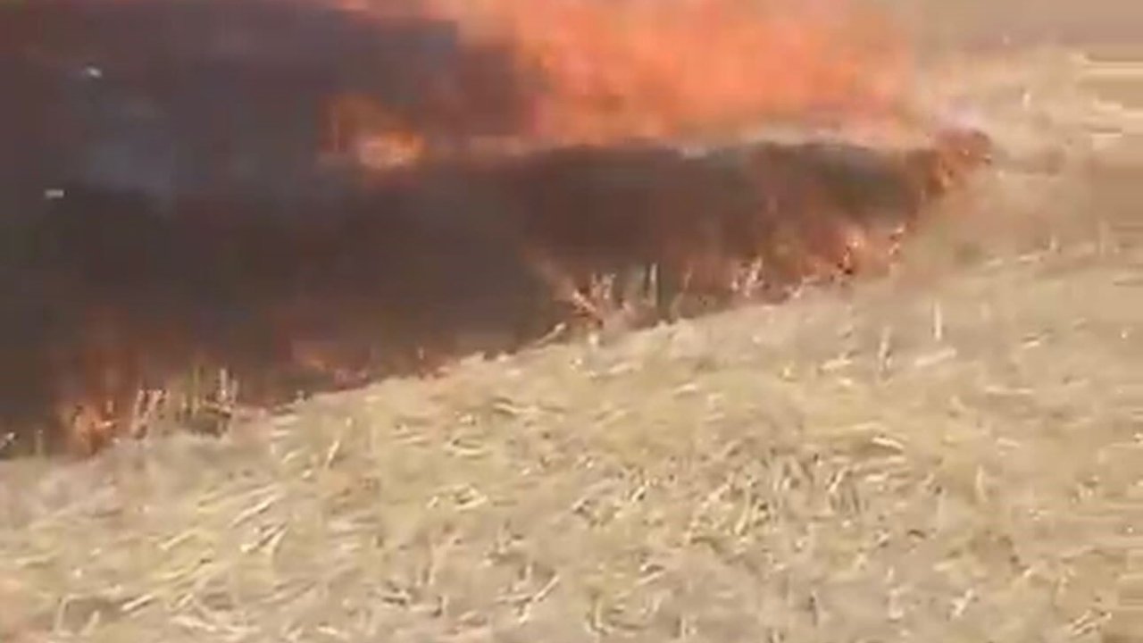 Ankara’da anız yangını