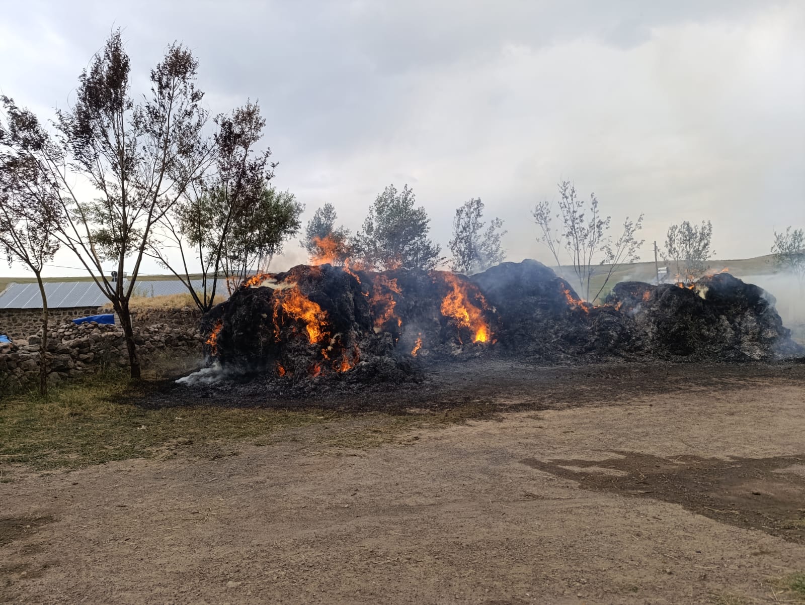 Kars'ta ot yangını