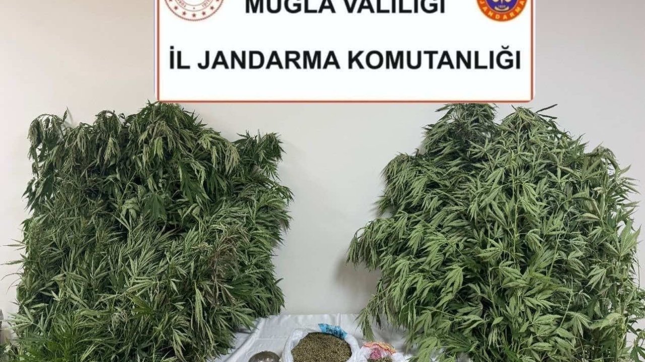 Karabağlar Yaylası’nda uyuşturucu operasyonu: 1 gözaltı