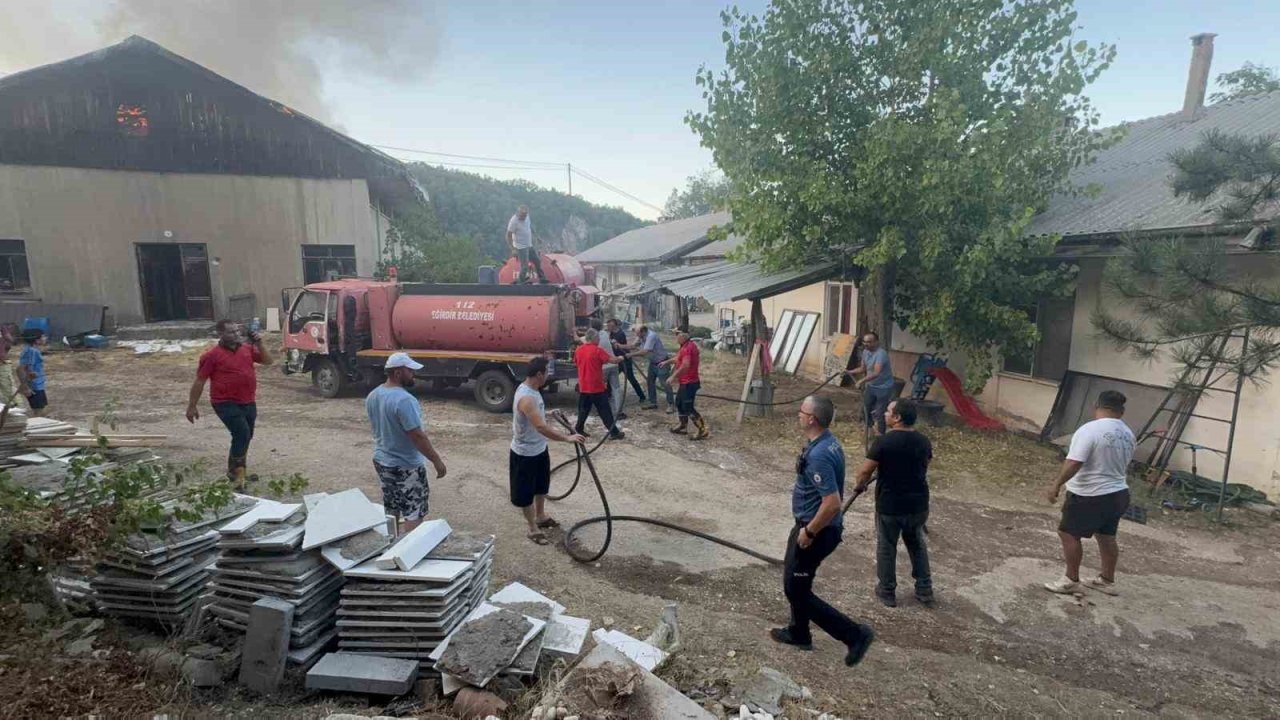 Eğirdir’de trafodaki tellere temas eden sincap, 1 depo ile 2 dönümlük araziyi küle çevirdi