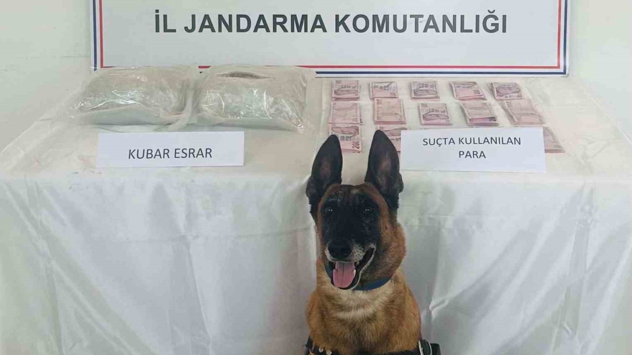 Elazığ’da uyuşturucuyla mücadele